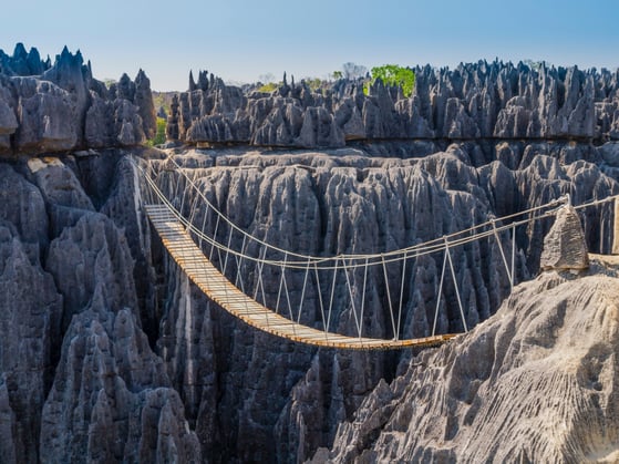 Catenary Suspension Bridge